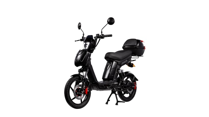 SX-250 Series IV Voyager Electric Bike