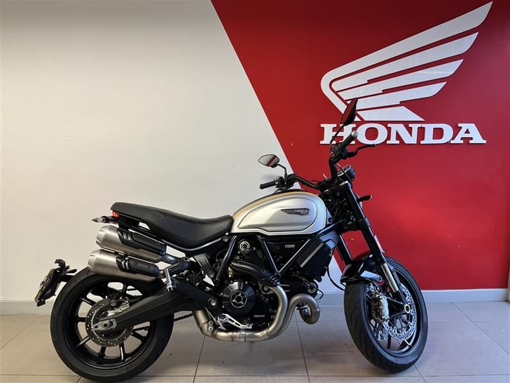 Ducati SCRAMBLER 1100 PRO