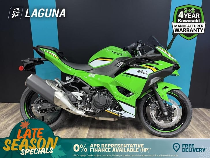 Kawasaki Ninja 500 SE