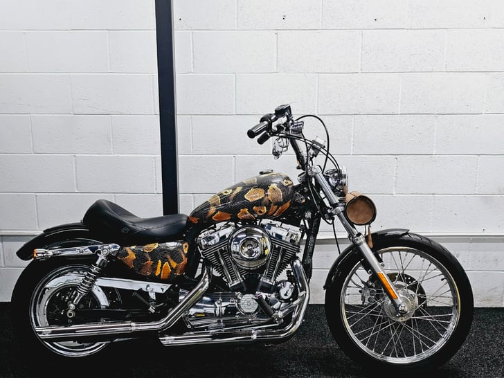 Harley davidson 72 discount for sale near me