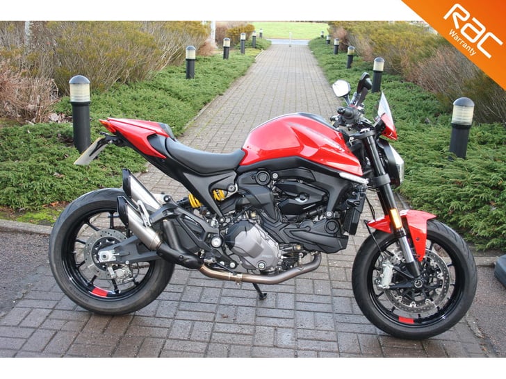 Ducati MONSTER