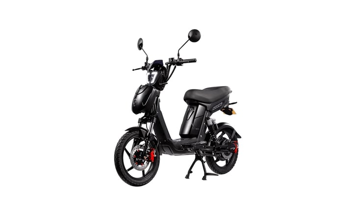 SX-250 Series IV Classic Electric Bike