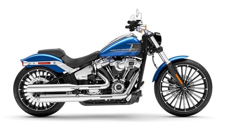 Harley on sale davidson 117