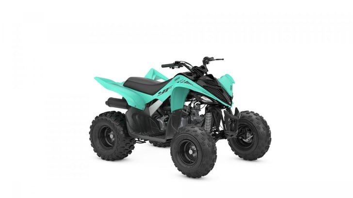 Yamaha-Atv YFM110R