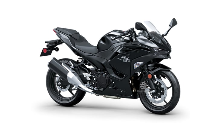 Ninja 500 2026