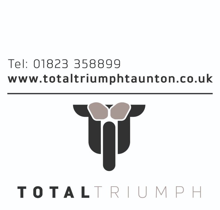 Triumph TF 250-X