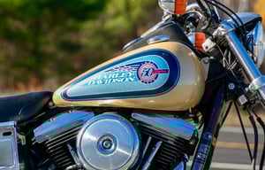 Used Harley-Davidson FXDB DAYTONA FXDB DAYTONA for sale in London | Image 3