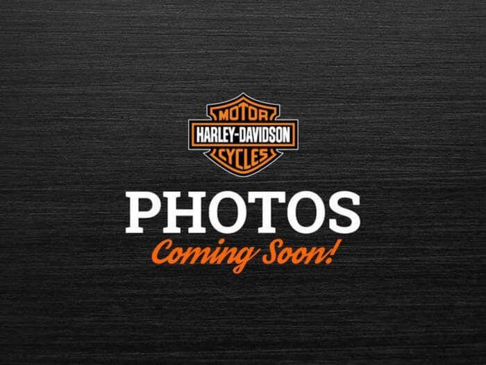 Harley-Davidson PAN AMERICA 1250 RA1250S SPECIAL