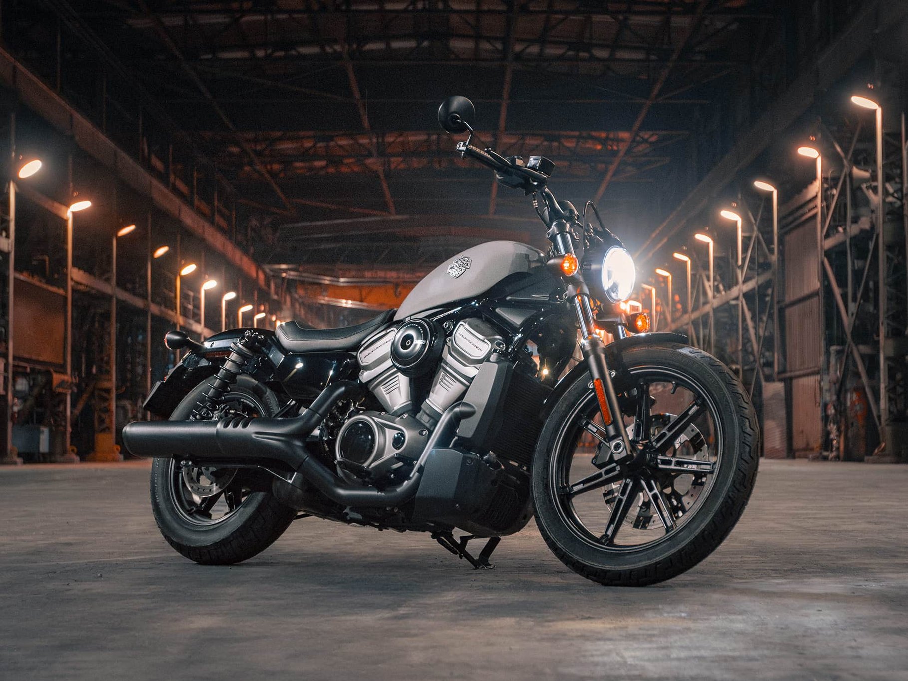 Rebel harley deals davidson