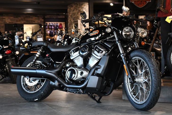 Harley nightster for deals sale