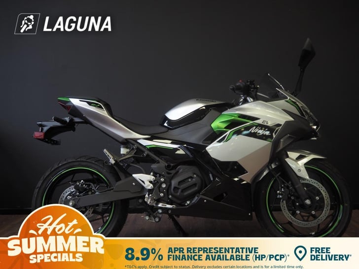Kawasaki Ninja e-1