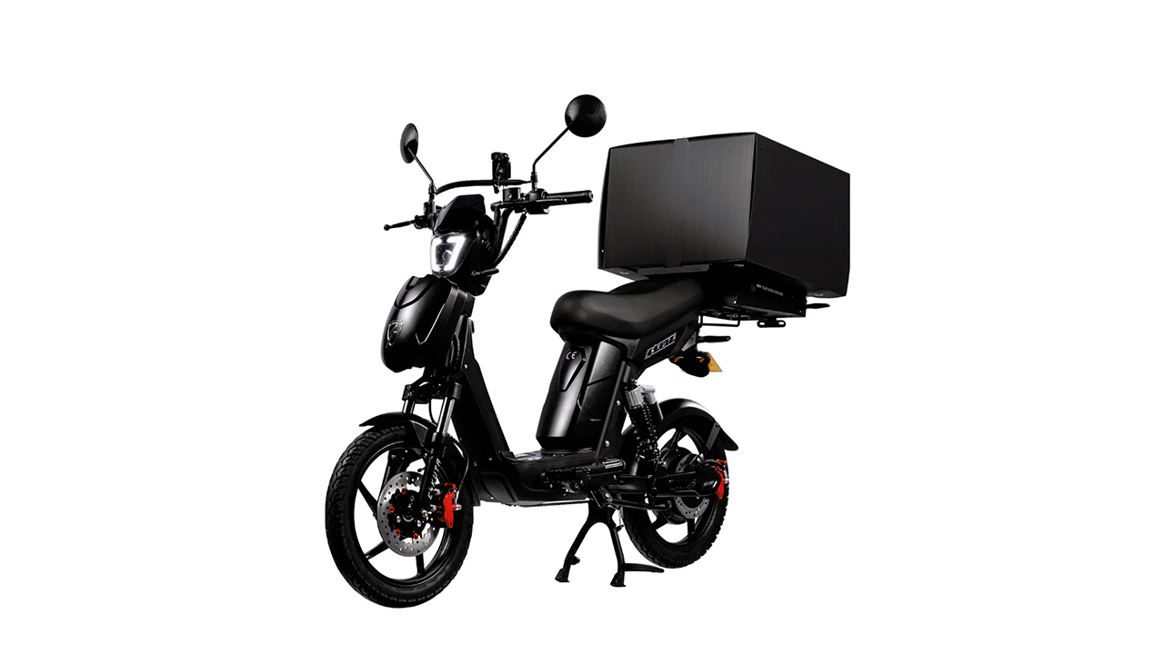 Eskuta SX-250 Series IV Cargo Electric Bike