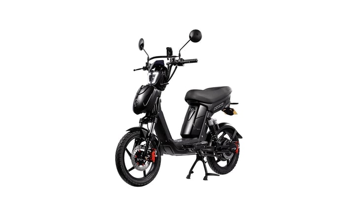 SX-250 Series IV Explorer Electric Bike