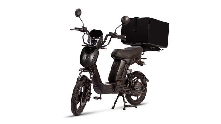 SX-250D Series III EAPC Electric Bike